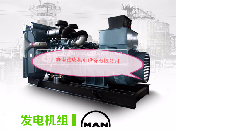 山东上柴股份柴油发电机组订购现场案例